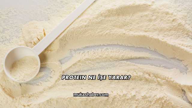 Protein Ne İşe Yarar?