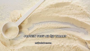 Protein Tozu Ne İşe Yarar?