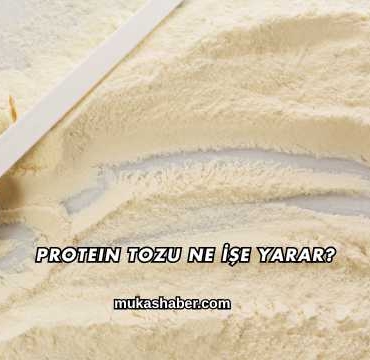 Protein Tozu Ne İşe Yarar?
