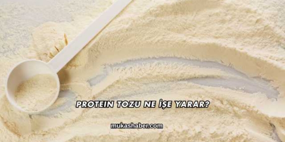 Protein Tozu Ne İşe Yarar?