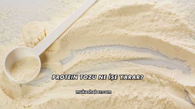 Protein Tozu Ne İşe Yarar?