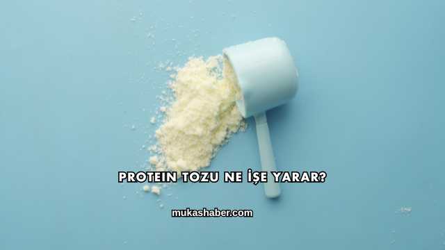 Protein Tozu Ne İşe Yarar?