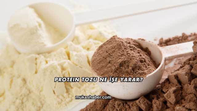 Protein Tozu Ne İşe Yarar?