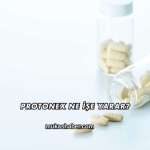 Protonex Ne İşe Yarar?