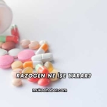 Razogen Ne İşe Yarar?