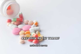 Razogen Ne İşe Yarar?