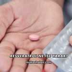 Resveratrol Ne İşe Yarar?