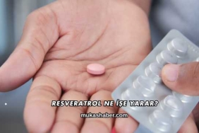 Resveratrol Ne İşe Yarar?