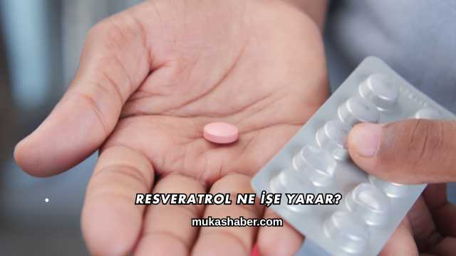 Resveratrol Ne İşe Yarar?