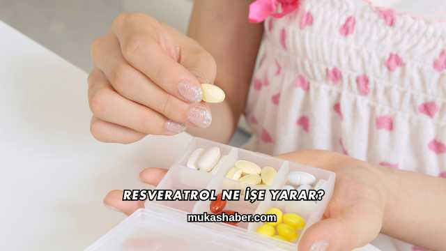Resveratrol Ne İşe Yarar?