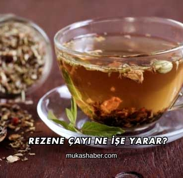 Rezene Çayı Ne İşe Yarar?