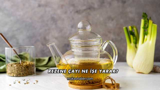 Rezene Çayı Ne İşe Yarar?