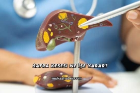 Safra Kesesi Ne İşe Yarar?