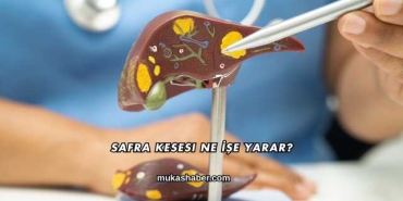 Safra Kesesi Ne İşe Yarar?