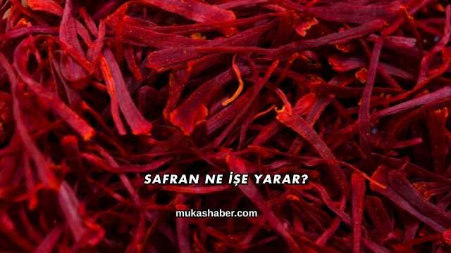 Safran Ne İşe Yarar?