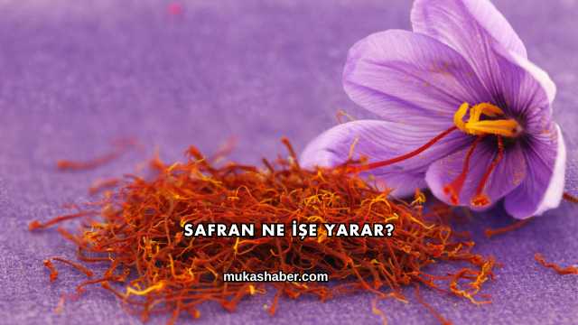 Safran Ne İşe Yarar?