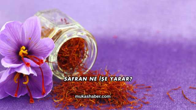 Safran Ne İşe Yarar?