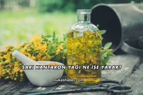 Sarı Kantaron Yağı Ne İşe Yarar?