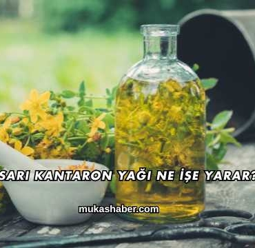 Sarı Kantaron Yağı Ne İşe Yarar?
