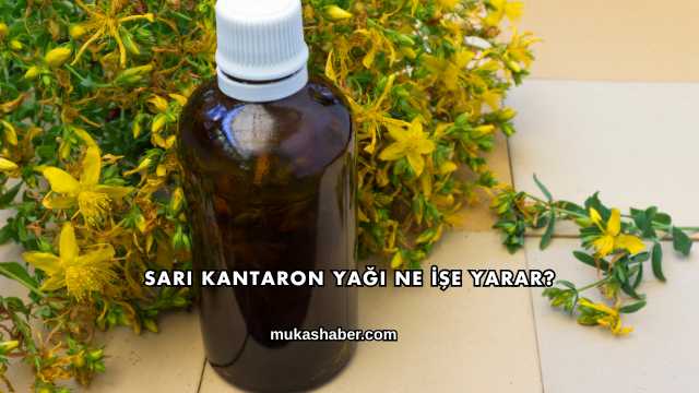 Sarı Kantaron Yağı Ne İşe Yarar?