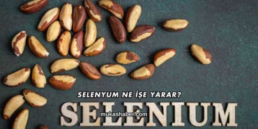 Selenyum Ne İşe Yarar?