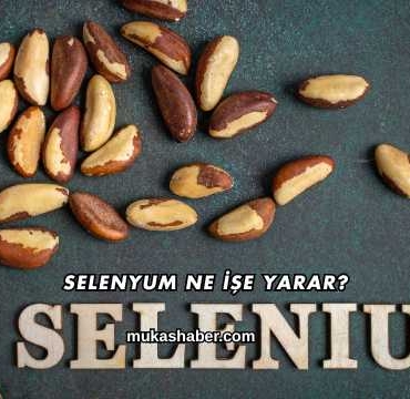 Selenyum Ne İşe Yarar?