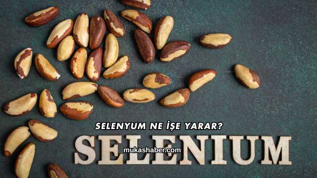 Selenyum Ne İşe Yarar?