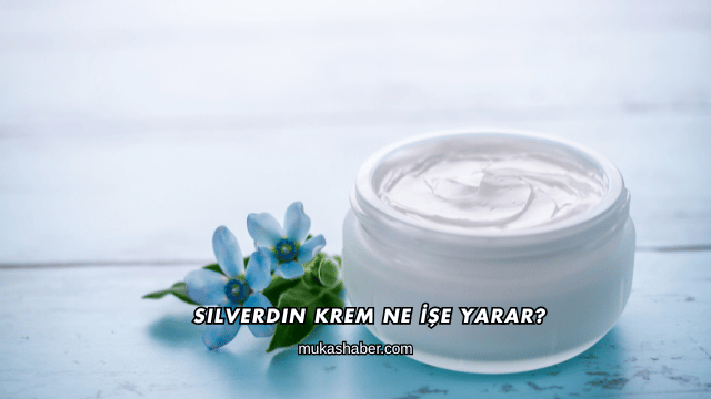 Silverdin Krem Ne İşe Yarar?