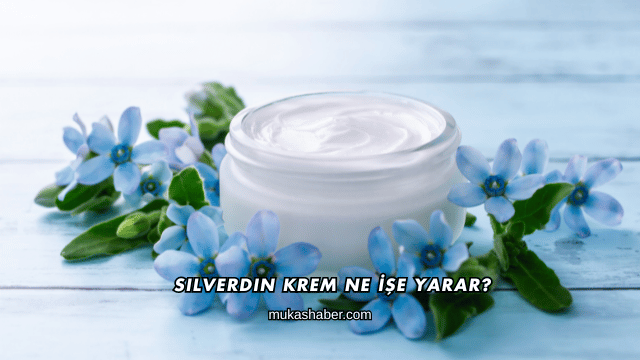 Silverdin Krem Ne İşe Yarar?