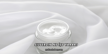 Silverdin Ne İşe Yarar?