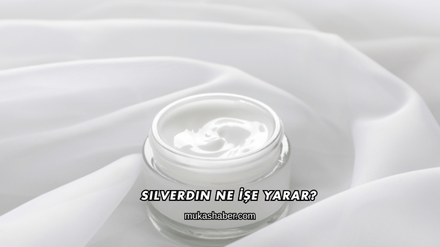 Silverdin Ne İşe Yarar?