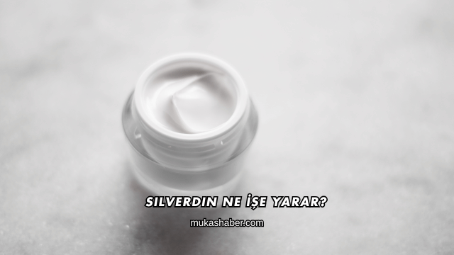 Silverdin Ne İşe Yarar?
