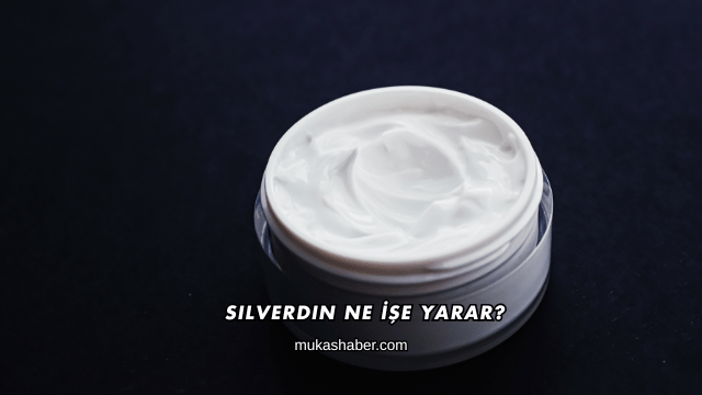 Silverdin Ne İşe Yarar?