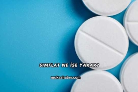 Simflat Ne İşe Yarar?