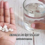 Sineral Ne İşe Yarar?