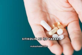 Sitikolin Ne İşe Yarar?