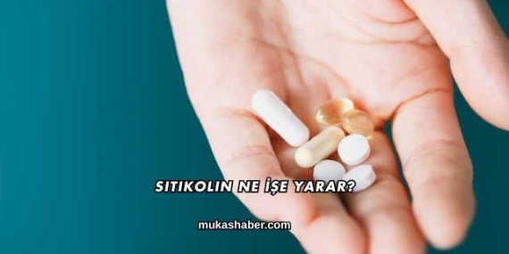 Sitikolin Ne İşe Yarar?