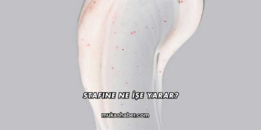Stafine Ne İşe Yarar?