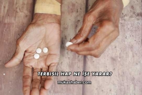 Terbisil Hap Ne İşe Yarar?