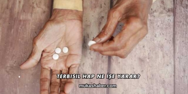 Terbisil Hap Ne İşe Yarar?