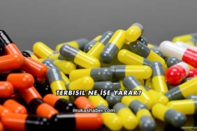 Terbisil Ne İşe Yarar?