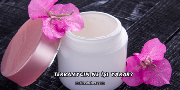Terramycin Ne İşe Yarar?