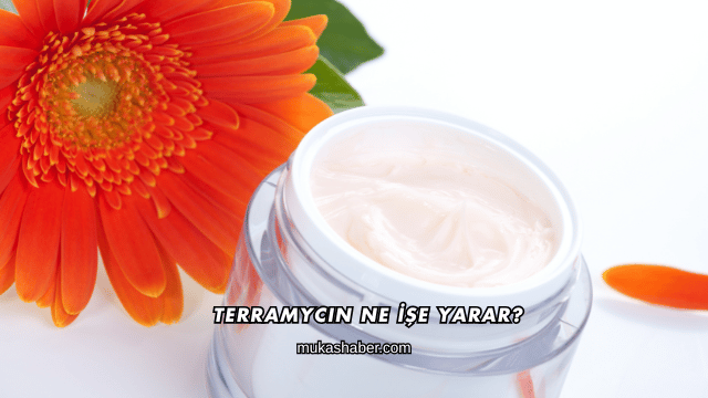 Terramycin Ne İşe Yarar?