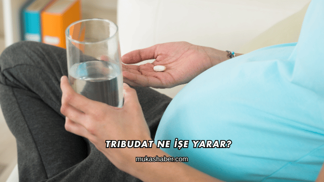 Tribudat Ne İşe Yarar?