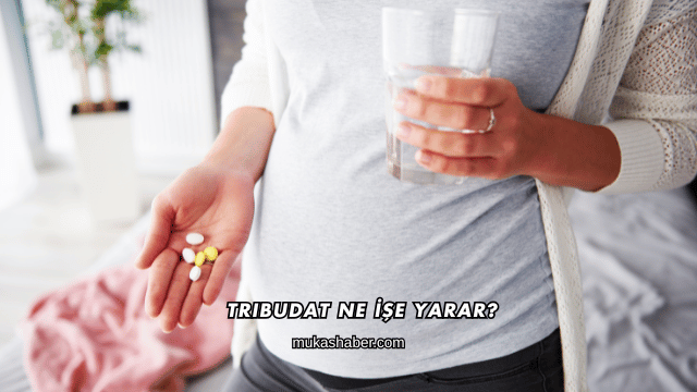 Tribudat Ne İşe Yarar?