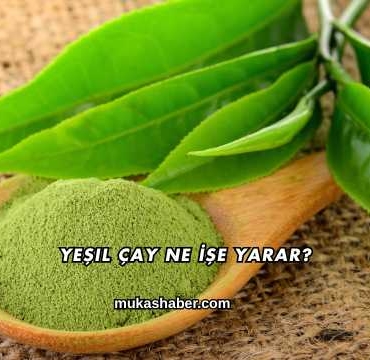 Yeşil Çay Ne İşe Yarar?