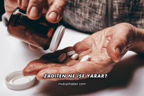 Zaditen Ne İşe Yarar?