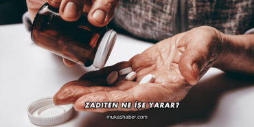Zaditen Ne İşe Yarar?