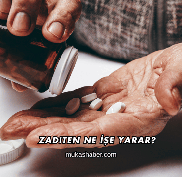 Zaditen Ne İşe Yarar?