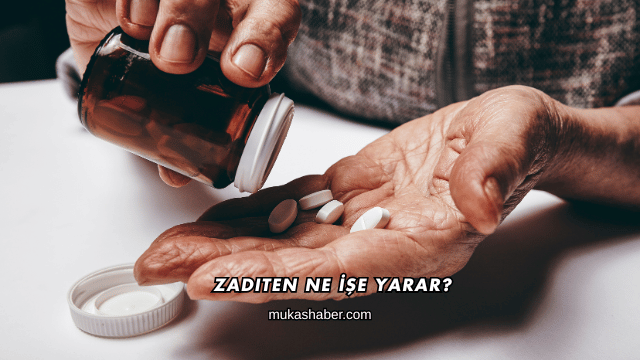 Zaditen Ne İşe Yarar?